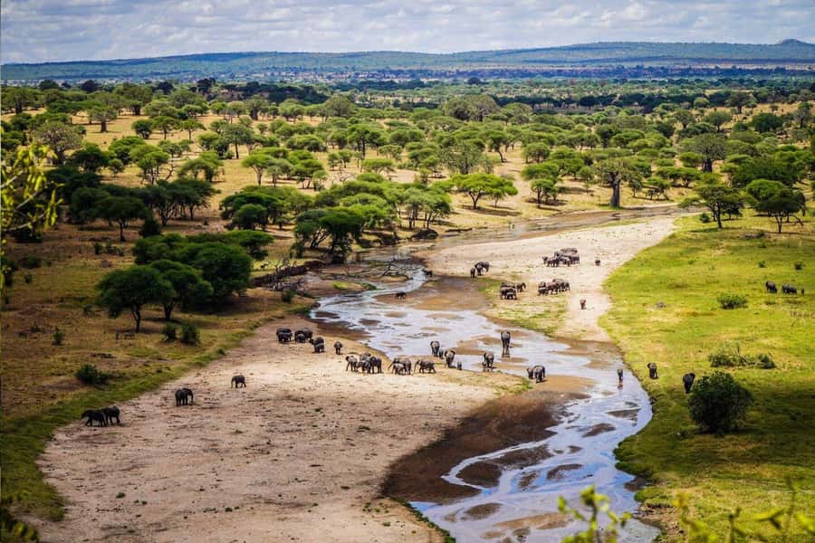 Tanzania: Big 5 Tour - What two days in northern Tanzania really gives you
