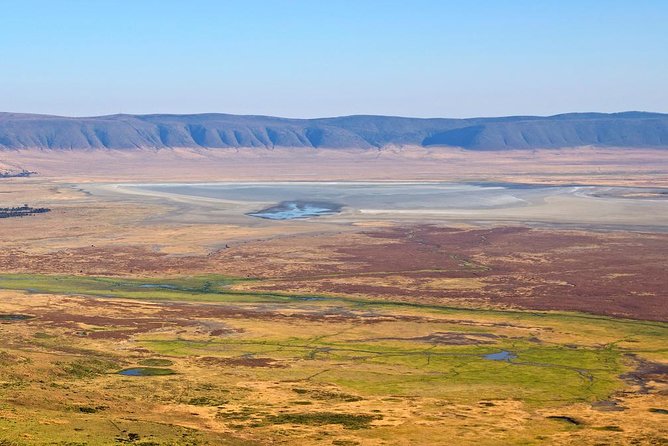 Tanzania Classic - 7 Days - Day 4: A full 12-hour Serengeti game drive