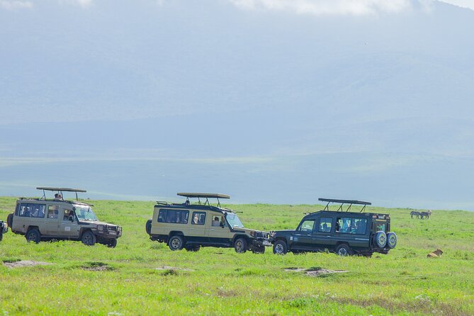 Tanzania Classic Safari 3 Days / 2 Nights - Key points to know before booking