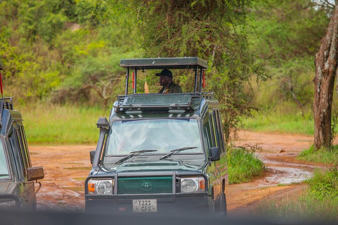 Tanzania Classic Safari 3 Days / 2 Nights - Why this three-park route works