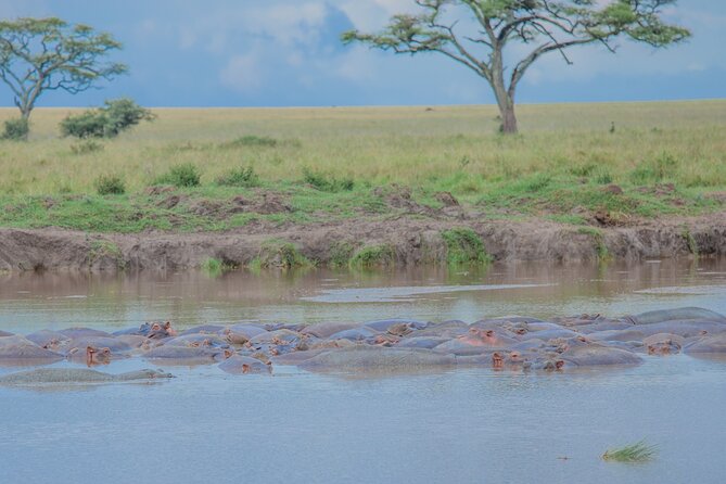 Tanzania Classic Safari 3 Days / 2 Nights - Meals, hotels, and what the price covers