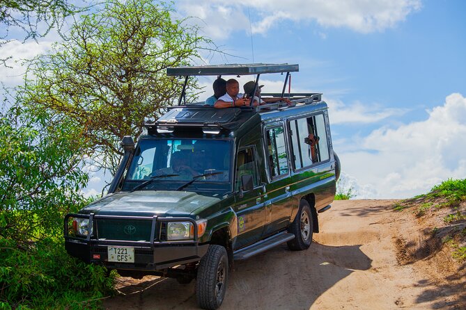 Tanzania Classic Safari 3 Days / 2 Nights - The guide can make or break the three days