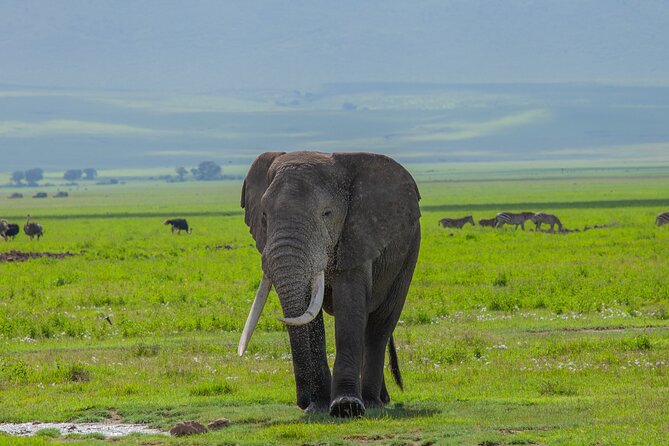 Tanzania Classic Safari 3 Days / 2 Nights - Families, children, and the pace of the route