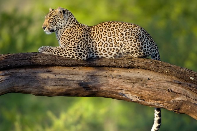Tanzania Classic Safari - 7 Days - What the $8,900 price includes