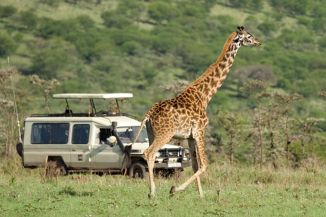 Tanzania Classic Safari - 7 Days - Day 2: Elephants and baobabs in Tarangire