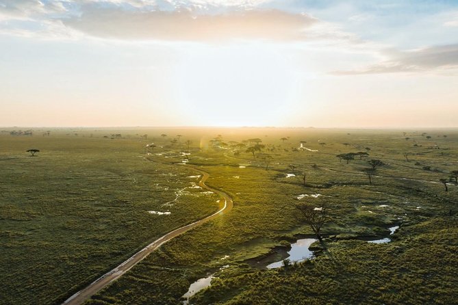 Tanzania Enticing Explorations - 6 Days - Day 3: the long road to Serengeti