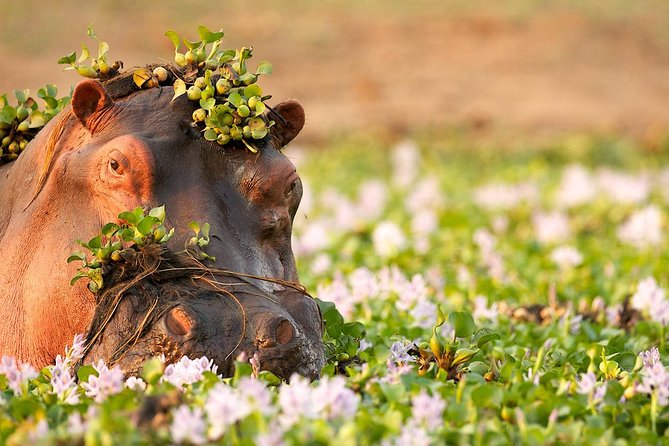 Tanzania Enticing Explorations - 6 Days - Day 5: the 6am descent into Ngorongoro Crater