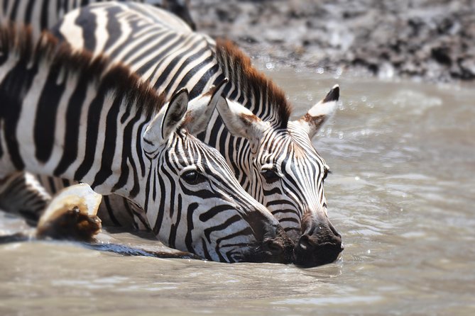 Tanzania Experience Safari and Tours - What the private vehicle changes