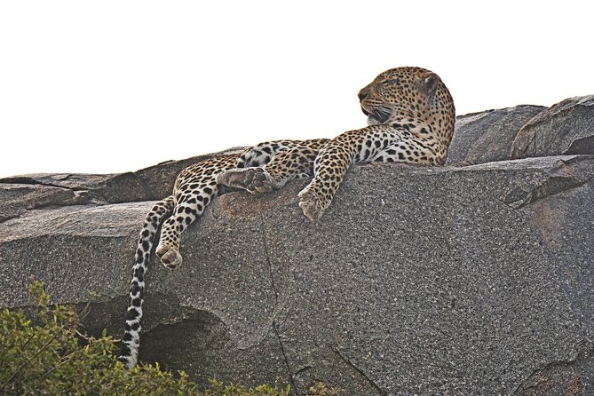 Tanzania Experience Safari and Tours - Meals, lodging, and the real pace of five days
