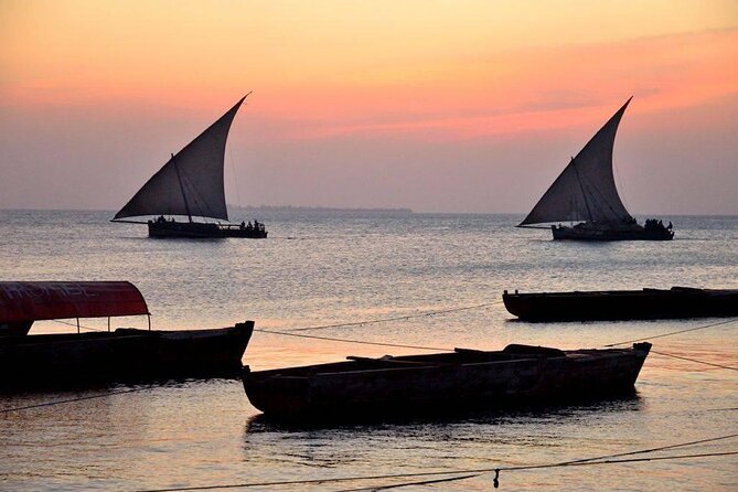 Tanzania Safari and Kilimanjaro Climb Multi-Day Experience - A Safari and Mountain Trek in One Long Trip