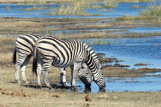 Tanzania Safari Join Group - Day 5: Ngorongoro Crater and the search for rhino