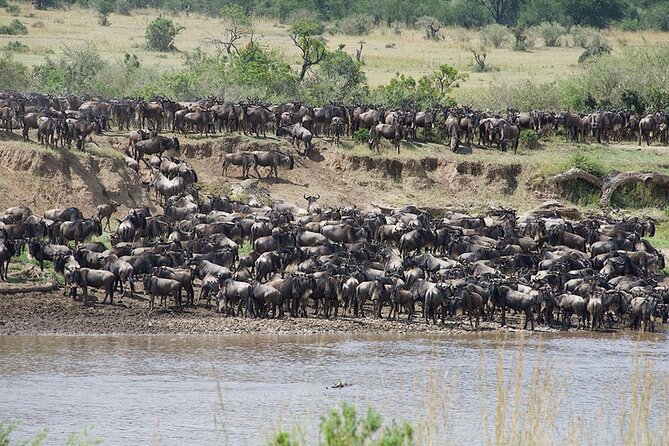Tanzania Safari - The Great Migration in the North of the Serengeti and Lake Natron - Why this route works for a northern Tanzania safari