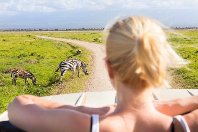 Tanzania Simba Safari - 5 Days - Day 3: A full day among Serengeti wildlife