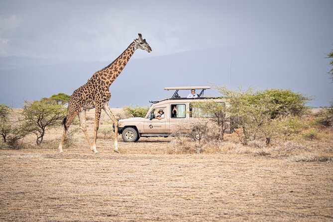 Tanzania Simba Safari - 5 Days - Day 1: Arrive in Arusha and get your bearings