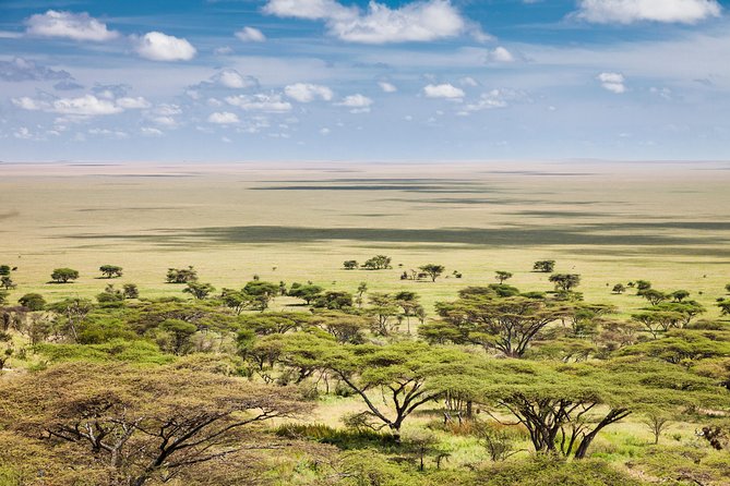 Tanzania Through The Rift Valley - 5 Days - Lake Manyara: a gentle beginning to the safari