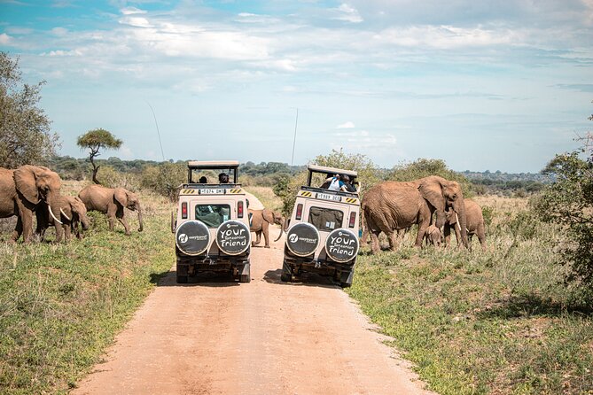 Tanzania Through The Rift Valley - 5 Days - A full Serengeti morning with the guide in charge