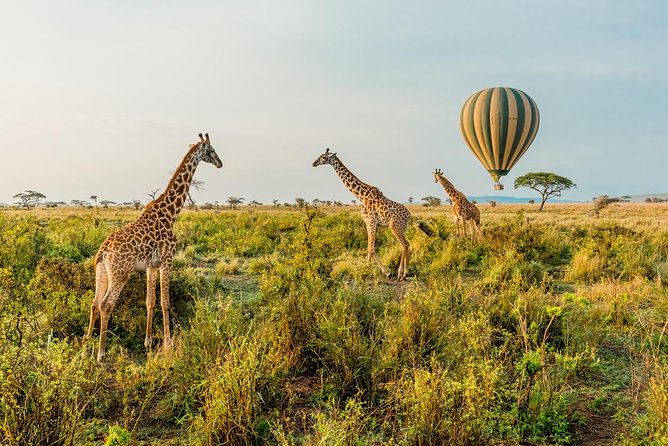 Tanzania Through The Rift Valley - 5 Days - The road to Serengeti and the first sight of the plains