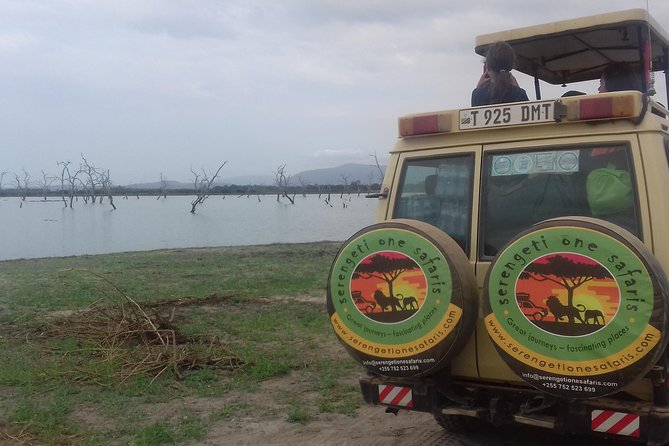 Tanzania Trip Amazing Tarangire Ngorongoro and Manyara - Lake Manyara and Mto wa Mbu in one long day