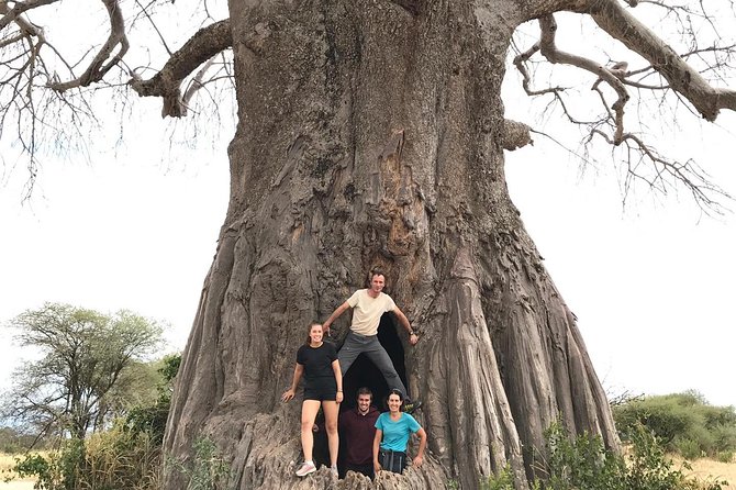 Tanzania Trip Amazing Tarangire Ngorongoro and Manyara - Food, vehicles, and what the price includes