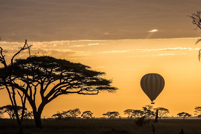 Tanzania wildlife & Cultural Safari- 11days - Key points at a glance