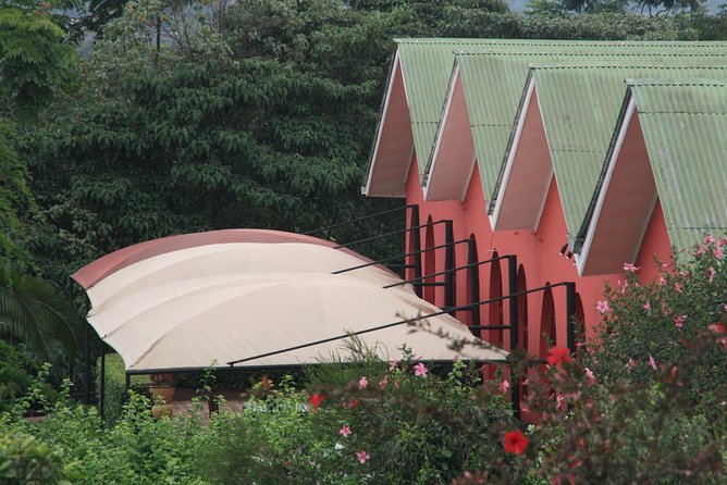 Tanzania wildlife & Cultural Safari- 11days - Lake Manyara adds a different kind of park day
