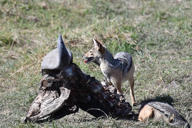 Tanzania Wildlife Cultural Safari from Arusha. - Day 4: Forest walking and Iraqw culture near Karatu