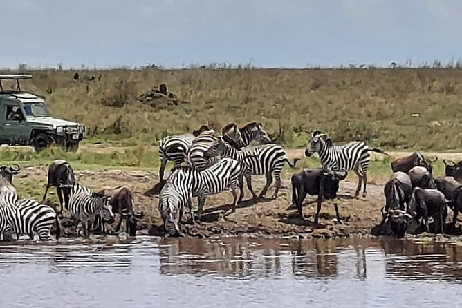 Tanzania Wildlife Safari Budget Camping - A fast route through Tanzania’s Northern Circuit