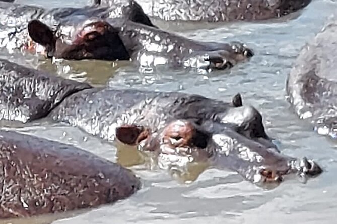 Tanzania Wildlife Safari Budget Camping - What $1,155 includes, and where the value lies