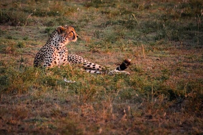Tarangire National Park Day Trip - Following the Elephants and River