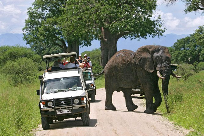 Tarangire National Park: Guided Day Tour from Arusha - Morning game viewing among the baobabs