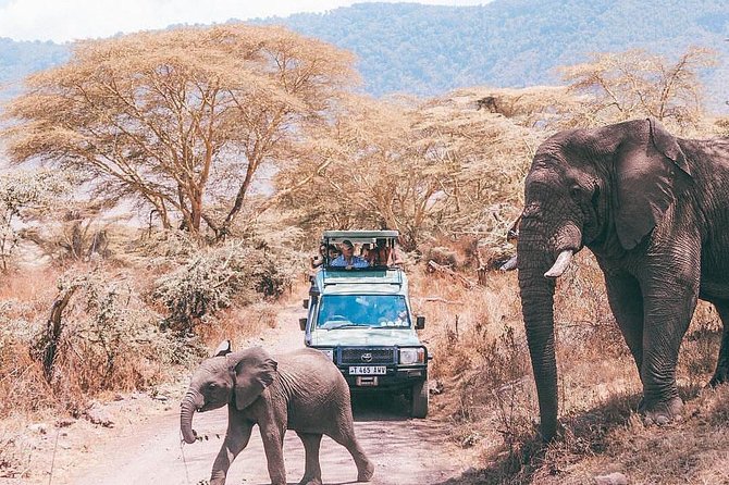 tarangire & ngorongoro 2 days tour - Why this two-day route works from Arusha