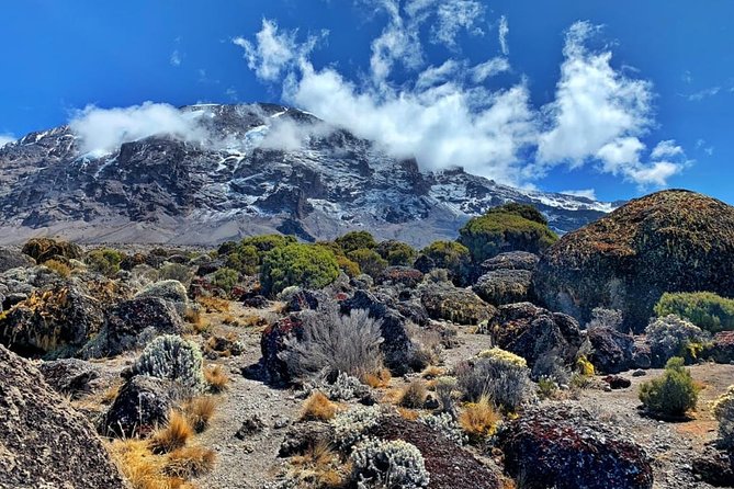 The 6 Days Kilimanjaro Climbing Tour via Machame Route in 2025/26 - Day one: Machame Gate and the first rainforest climb