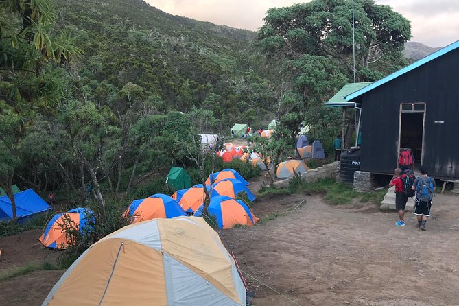The 6 Days Kilimanjaro Climbing Tour via Machame Route in 2025/26 - Day four: Barranco Wall and the long push to Barafu