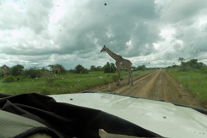 The Amaizing Private Day Trip to the lovely Arusha National Park - Starting from Arusha in a private 4x4
