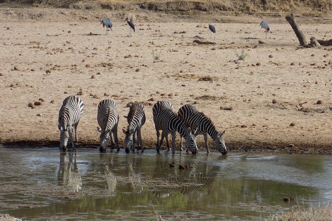The Amaizing Private Day Trip to the lovely Arusha National Park - A two-hour walk with an armed ranger