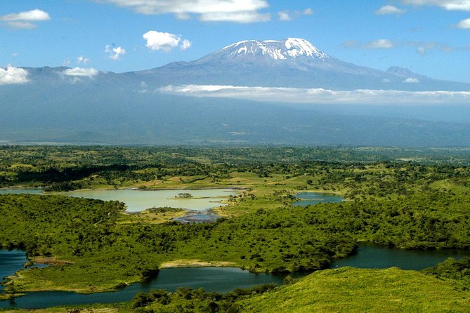 The Amaizing Private Day Trip to the lovely Arusha National Park - Game drives among giraffes, zebras, and buffaloes