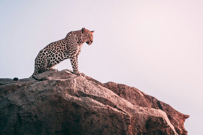The Best 2-Days 1-night Tanzania Budget Group Joining Safari Tour - The morning drive from Tarangire to Ngorongoro