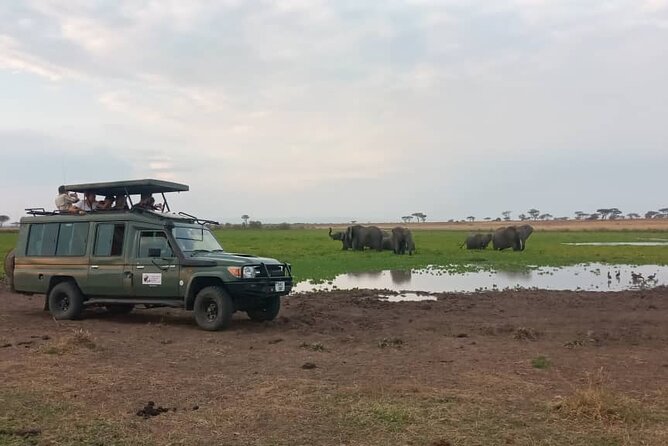 The Best 3Days Start from Mwanza to Serengeti' through Viator - What this three-day safari is really offering