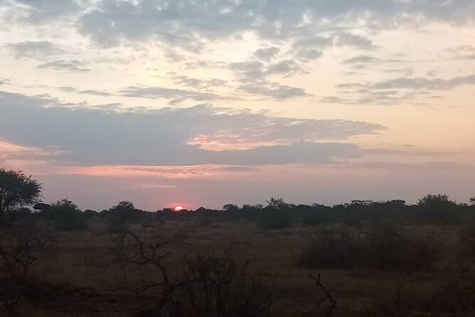 The Best 3Days Start from Mwanza to Serengeti' through Viator - Day three: Ngorongoro Crater before Arusha