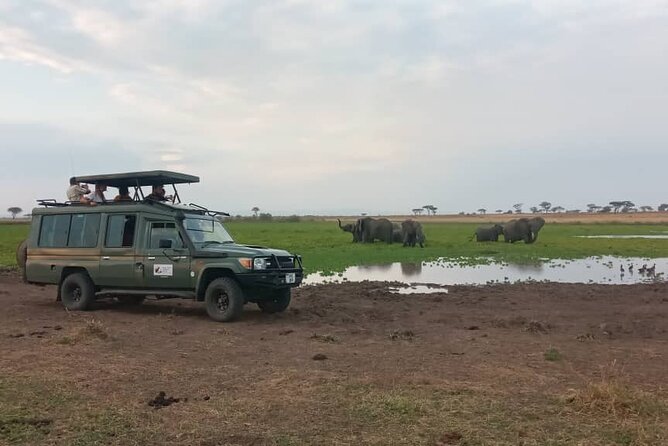 The Best 3Days Start from Mwanza to Serengeti' through Viator - Wildlife: exciting possibilities, no fixed checklist