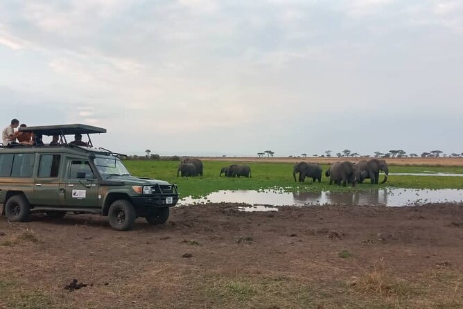 The Best 3Days Start from Mwanza to Serengeti' through Viator - The private vehicle and guide experience