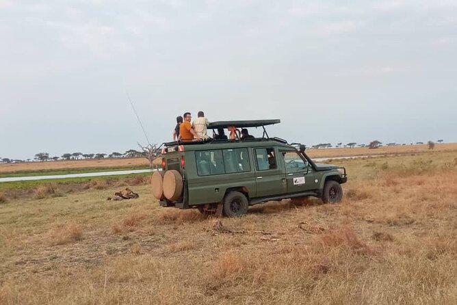The Best 3Days Start from Mwanza to Serengeti' through Viator - Meals, lodging, and what the price covers