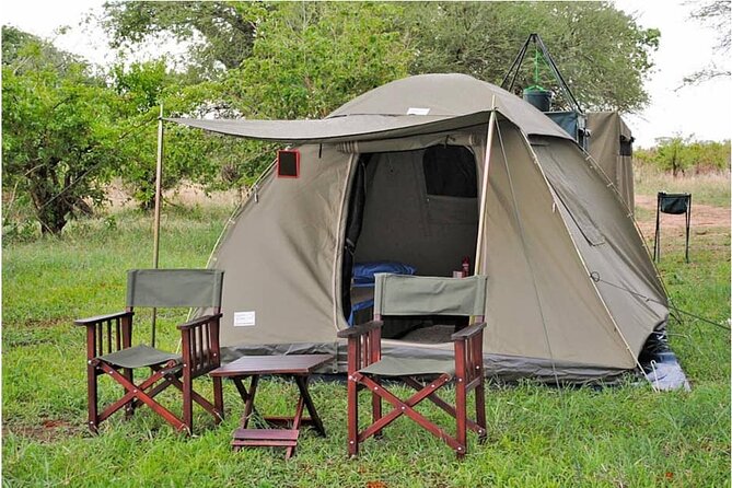 The Best 3Days Start from Mwanza to Serengeti' through Viator - Day one: From Musoma or Mwanza toward the Serengeti