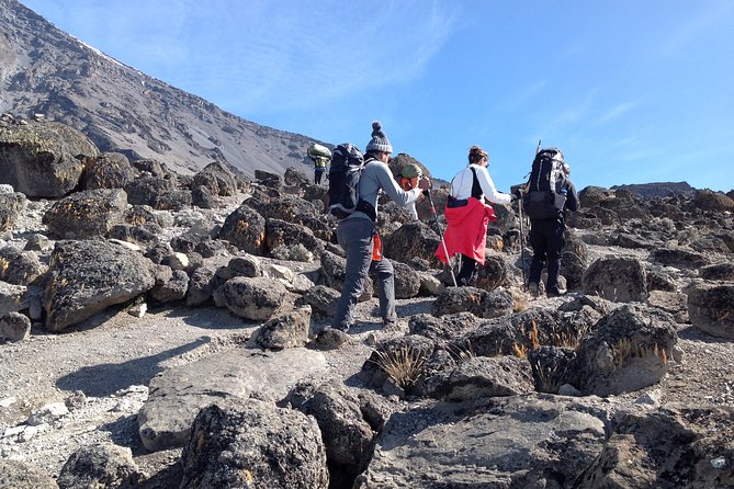 The best 6-Days Kilimanjaro hiking (Machame route)whiskey route - Why Machame feels different from an easy Kilimanjaro climb