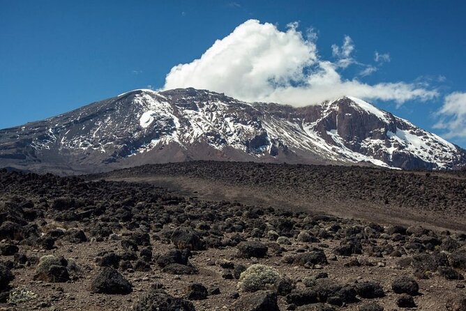 The best 6-Days Kilimanjaro hiking (Machame route)whiskey route - Day 3: Shira to Barranco, the high-low acclimatization day