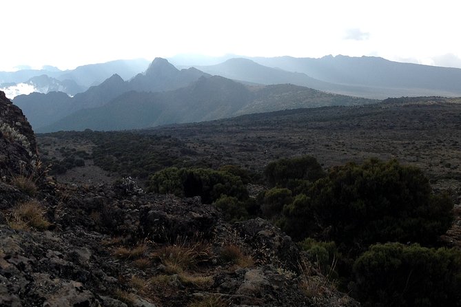 The best 6-Days Kilimanjaro hiking (Machame route)whiskey route - Day 6: Mweka descent and the return to Arusha