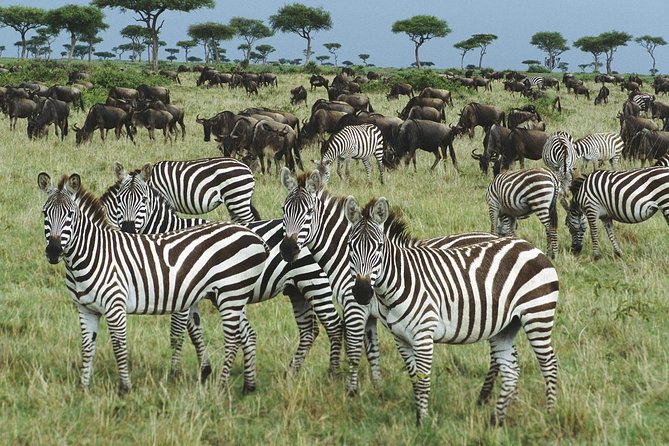 The best Selous 1 day safari from Zanzibar - The afternoon return to the airstrip
