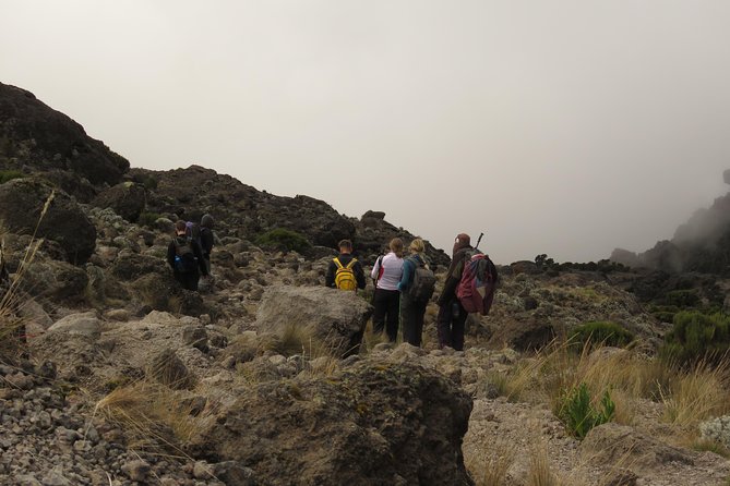 The Best & Unique Kilimanjaro Hiking tour 7 days Machame route - Day 3: Shira 2 to Lava Tower, then Barranco