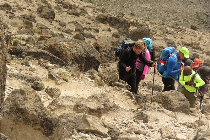 The Best & Unique Kilimanjaro Hiking tour 7 days Machame route - Day 6: Barafu to Uhuru Peak and down to Mweka