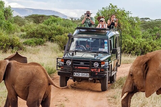 The Top Rated 6-Day Serengeti Budget Camping Safari in Tanzania - Days 2 and 3: Central Serengeti and the road toward Kogatende